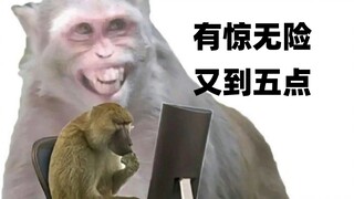 هل سبق لك أن شاهدت تعليقًا مريضًا ومخيفًا مثل هذا على ماكاك الأسود؟