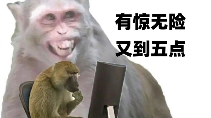 هل سبق لك أن شاهدت تعليقًا مريضًا ومخيفًا مثل هذا على ماكاك الأسود؟