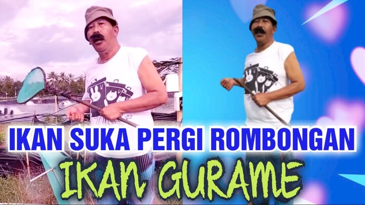 VIDEO LUCU TERBARU 2021 NGAKAK 😃 #43