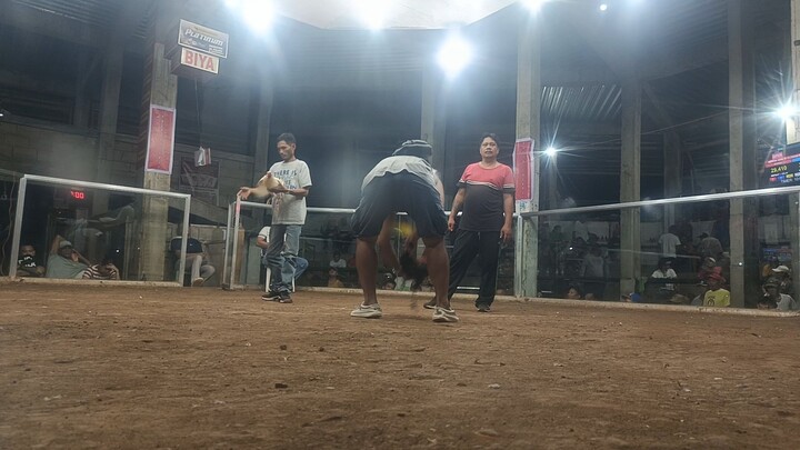 MNA 4th fight win