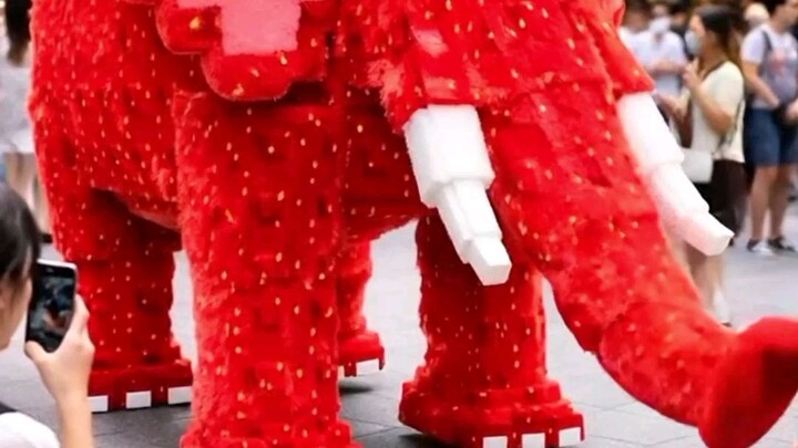 strawberry elephant 🍓🍓