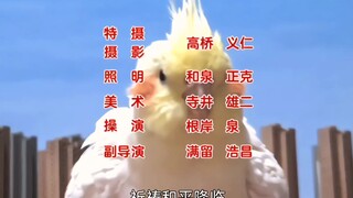 【特摄】小鸡致敬迪迦奥特曼ED第二弹！