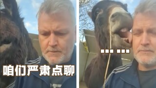 The donkey is worried: When the owner asks the donkey if it has entered the feed shed...
