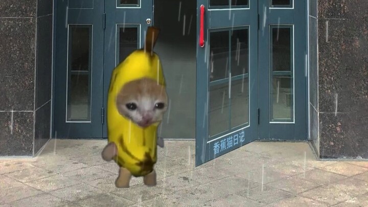 Banana Cat Goes Out and Encounters Rain