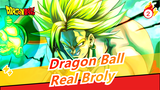 [Dragon Ball] This's the Real Broly! Cruel, Combative And Aggressive_2