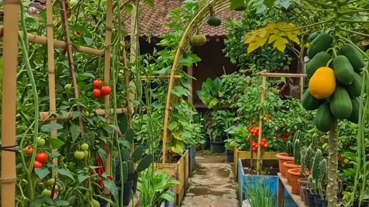 village Garden