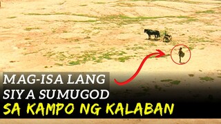 Dahil Lang sa Isang BABAE, Nawasak Ang Dakilang Syudad | TROY Movie Recap Tagalog