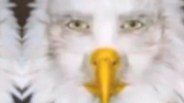 manuk