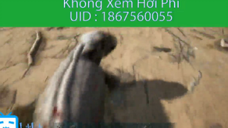Đập con khủng long lợn để kiếm thịt về nướng #gameark