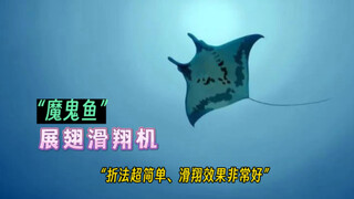 分享一款折法超简单、滑翔效果非常好，外形酷似魔鬼鱼的纸飞机——展翅滑翔机！