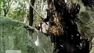 kembalinya sang raja part 1