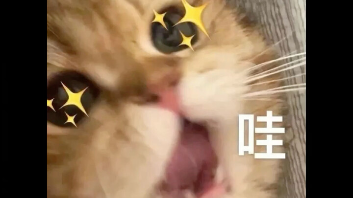 Well, actually, it’s pretty fun to ship!