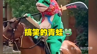 盘点可爱又欢乐的青蛙 ，到最后终于明白为什么成网红了。