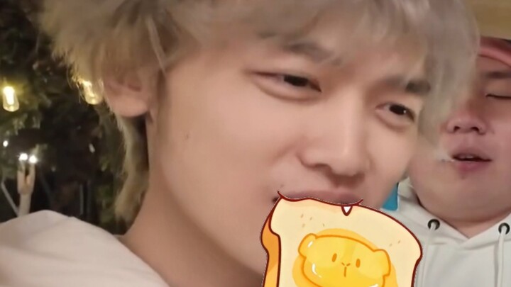 [Gauss] The cute voice of Little Cat Si