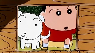 “为了找到主人，他放弃成为人类。”