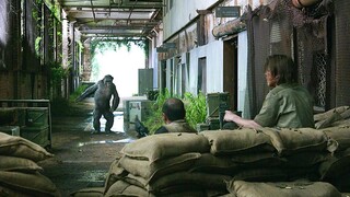 “你吖俩跟谁在耍猴呢！”