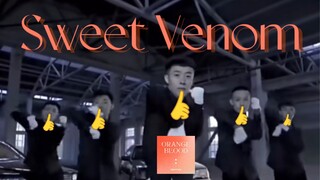 【พิษหวาน】ชิงไห่เขย่า แต่เฮ้ๆๆ | Enhypen