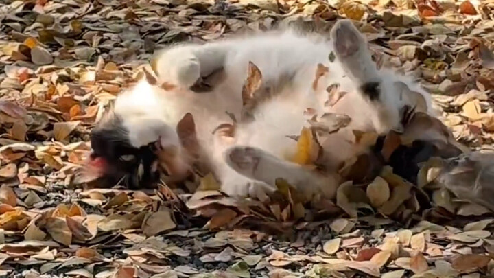 ความรู้สึกนี้เหมือนได้ย้อนกลับไปเป็นเด็กอีกครั้งเลย