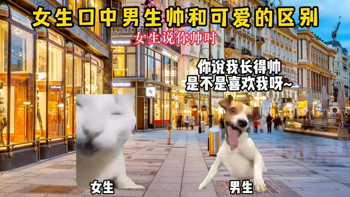 The Difference Between "Handsome" and "Cute" in Girls' Eyes!