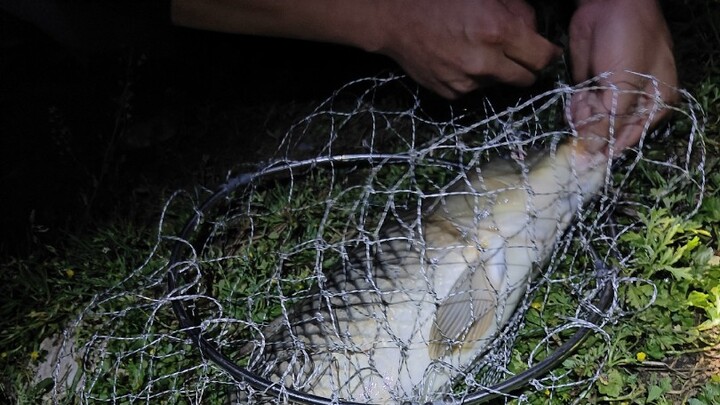 Why didn’t you invite me fishing?