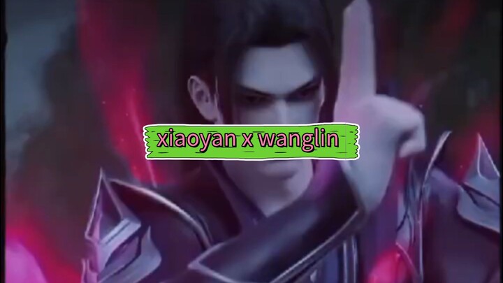 xiaoyan x wanglin