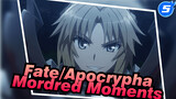 Fate/Apocrypha Cut | Mordred Moments Cut_F5