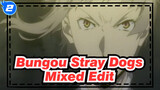 Bungou Stray Dogs Mixed Edit_2