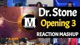 Dr. Stone Opening 3 | Reaction Mashup