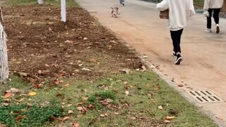 Senior mencuri pakaian dalam