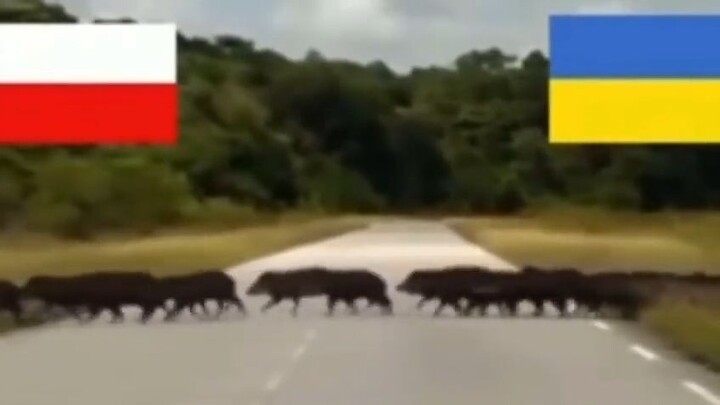 ukraine is the best!