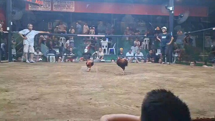3rd fight.. Win agian..