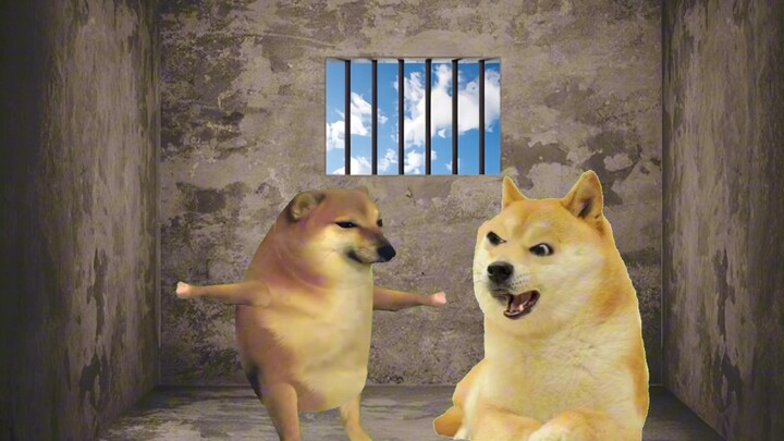 #Cheems He just stepped on a lawn—why the life sentence?