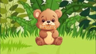 Beruang...