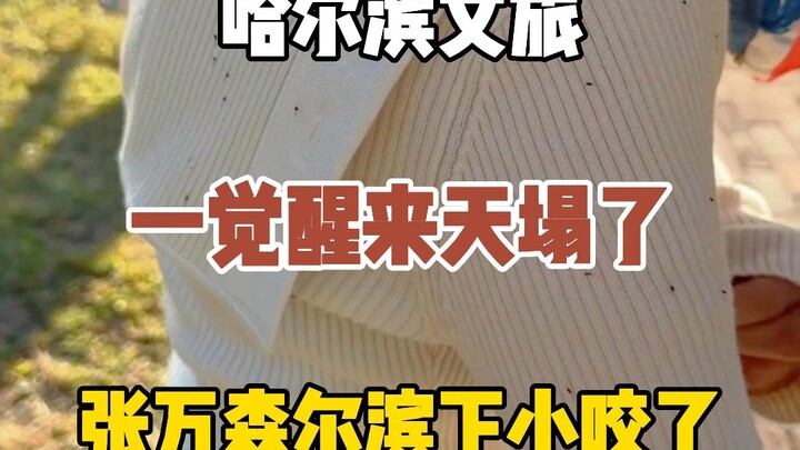 Setelah bangun tidur, pariwisata dan budaya Harbin seperti langit runtuh; kabarnya Zhang Wansen meng