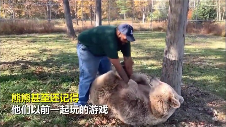 การพบกันอีกครั้งระหว่างหมีกับมนุษย์