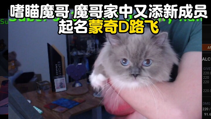 demon1: Anh trai Tị Mô trong nhà lại có thêm thành viên mới! Chỉ mới sáu tháng mà đã béo như một chi