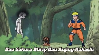 Lagi Serius Berburu Bang Toyib Malah Buyar Gegara...