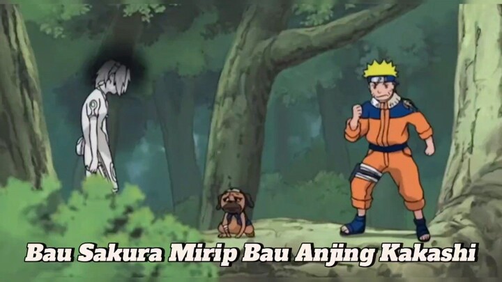 Lagi Serius Berburu Bang Toyib Malah Buyar Gegara...