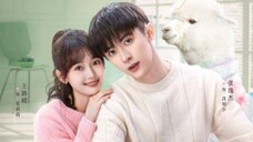 (Sub Indo) Cute Bad Guy Episode 23 END