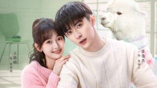 (Sub Indo) Cute Bad Guy Episode 23 END