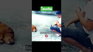 โดนพิษ