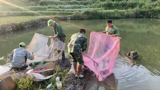 BẮT CÁ MÙA ĐÔNG • Món Mỡ Pho Cá Siêu Tanh