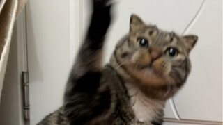 Anytime! Anywhere! If you see a kitten, kiss it right there!