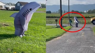 A mother dressed up as a shark to pick up her daughter from school, but her daughter was shocked and