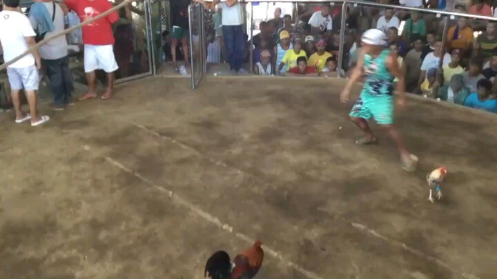 naka chamba MN first fastest kill🤏