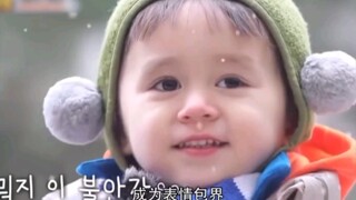 本特利超越宋民国成为表情包界扛把子的人