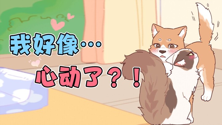 แมว: ฉันไม่เชื่อหรอกว่าแบบนี้ยังจัดการเธอไม่ได้~