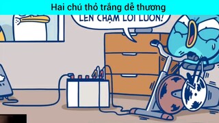 Hai chú thỏ trắng dễ thương