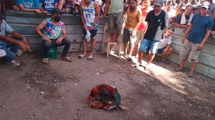 boston Hatch on the Floor