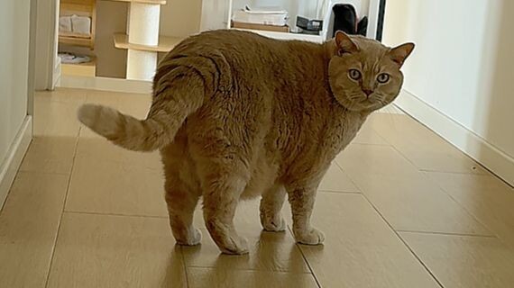 มีเรื่องหนึ่งที่พูดยากเหลือเกิน